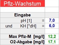 Mgliches Pflanzenwachstum