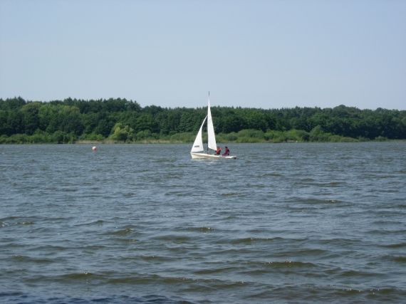 yyzjxh_gross_3858270