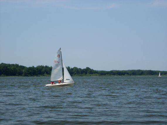 yyzjxh_gross_5862002